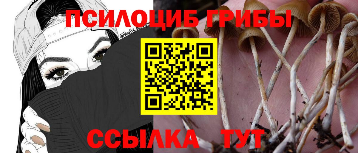 Псилоцибиновые грибы GOLDEN TEACHER  Вход с VPN  Лянтор 