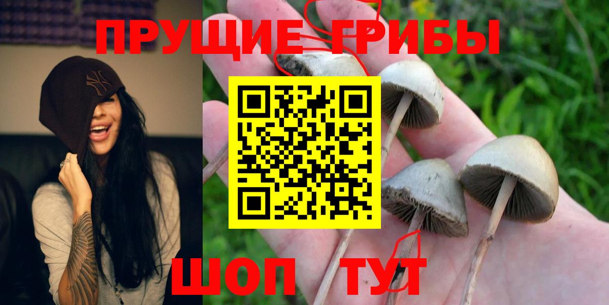 Галлюциногенные грибы мицелий Лянтор